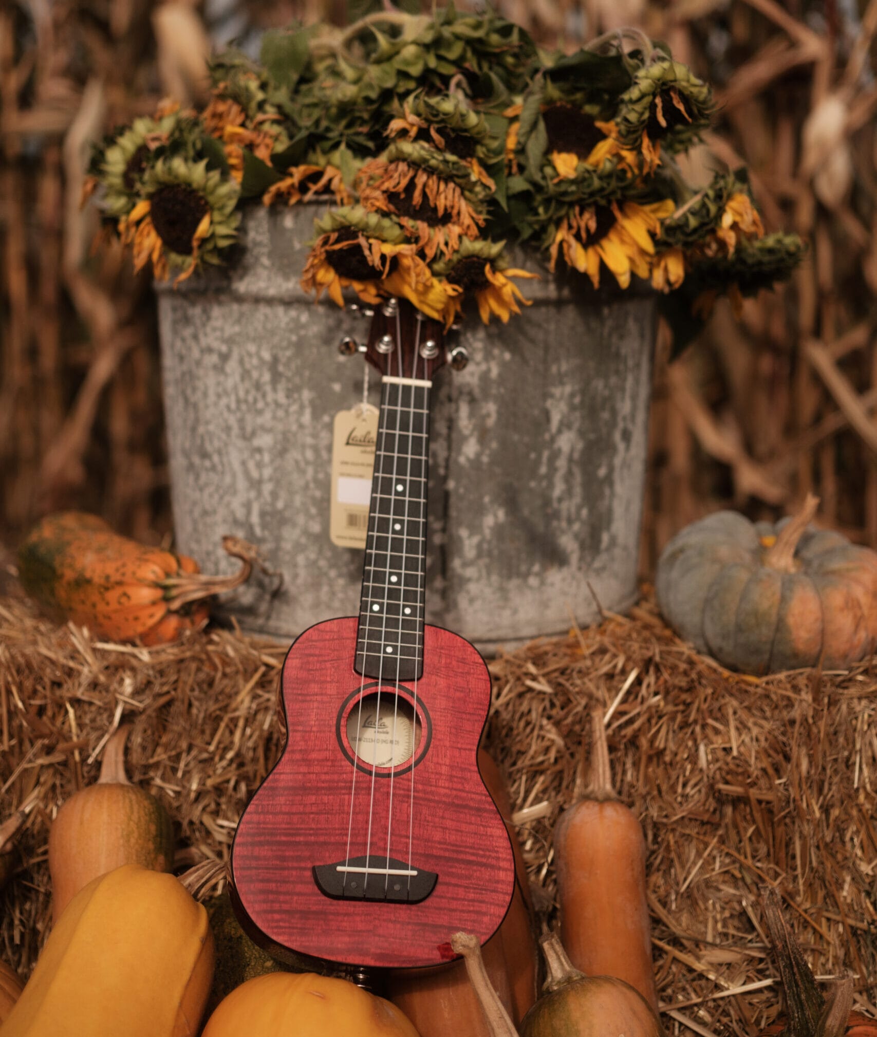 Zdjęcie ukulele w scenerii Halloween - nazwa, dyniowa królowa